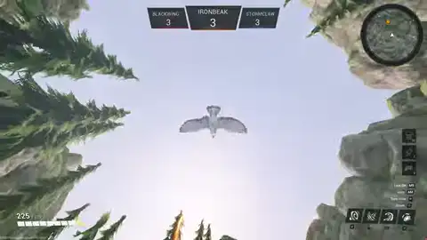 Birds of War aerial combat movement
