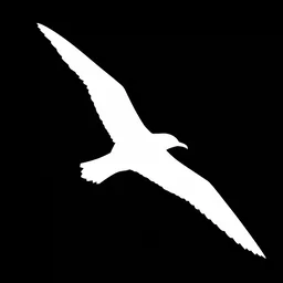 Seagull